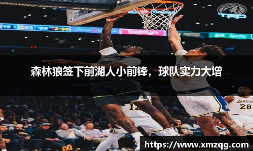 森林狼签下前湖人小前锋，球队实力大增